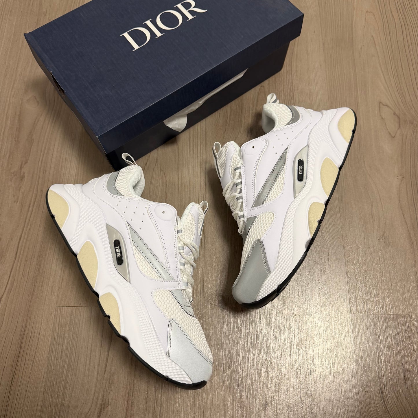 DIOR B22 WHITE